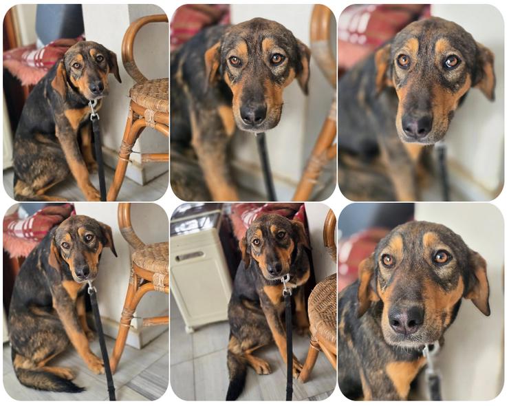 Auguste – sanft und voller Hoffnung