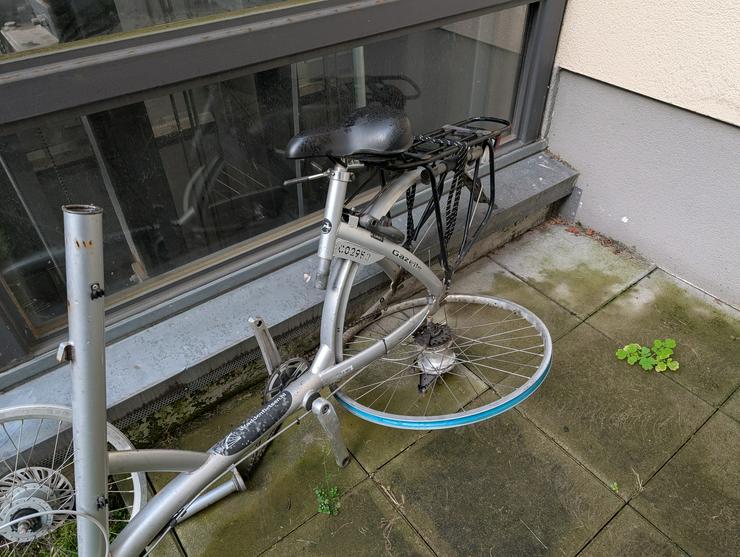 Bild 13: Gazelle Cabbi Lastenrad Frame und Teile