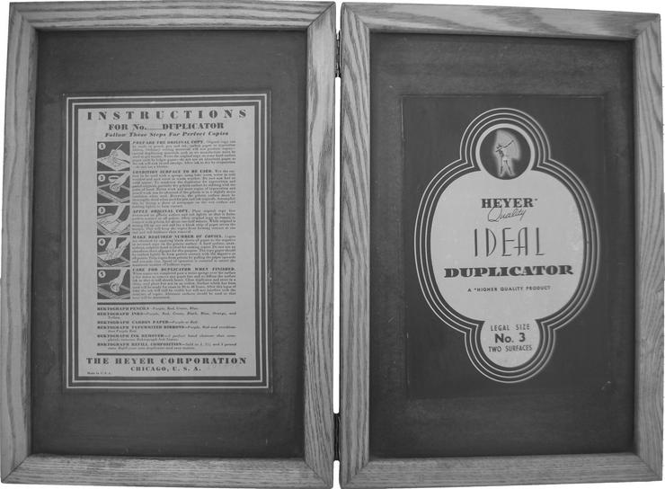 Bild 8: Weisse Rose - Dauer - Ausstellung, weltweit einzigartig und einmalig (Schenkung)