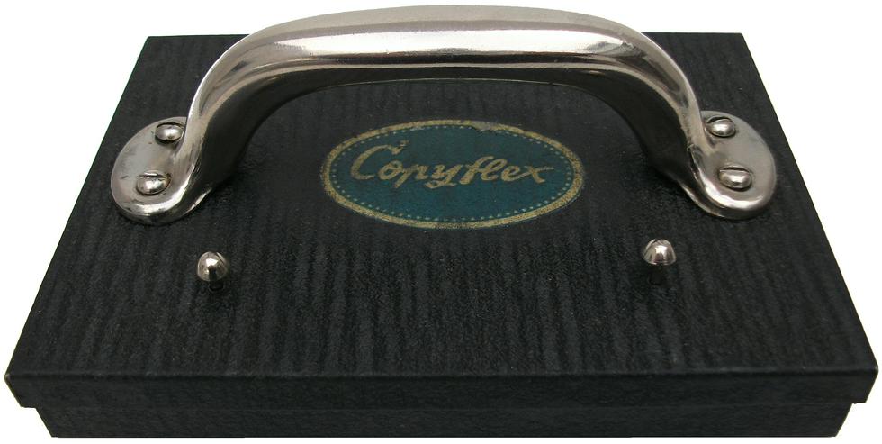 Bild 11: Weisse Rose - Dauer - Ausstellung, weltweit einzigartig und einmalig (Schenkung)