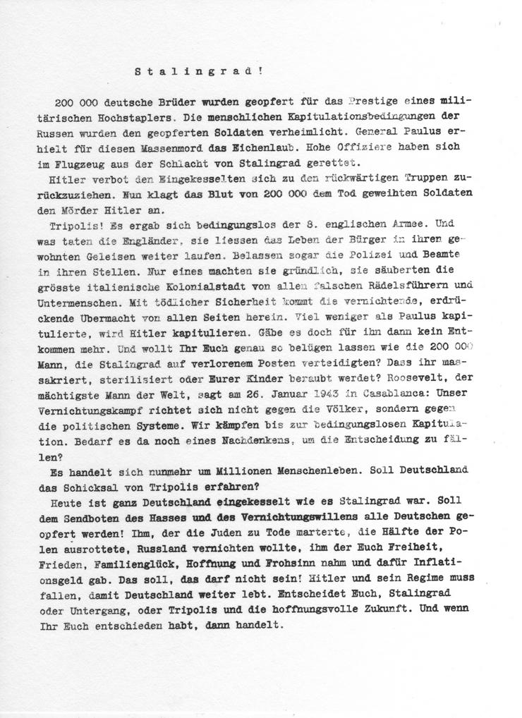 Bild 14: Weisse Rose - Dauer - Ausstellung, weltweit einzigartig und einmalig (Schenkung)