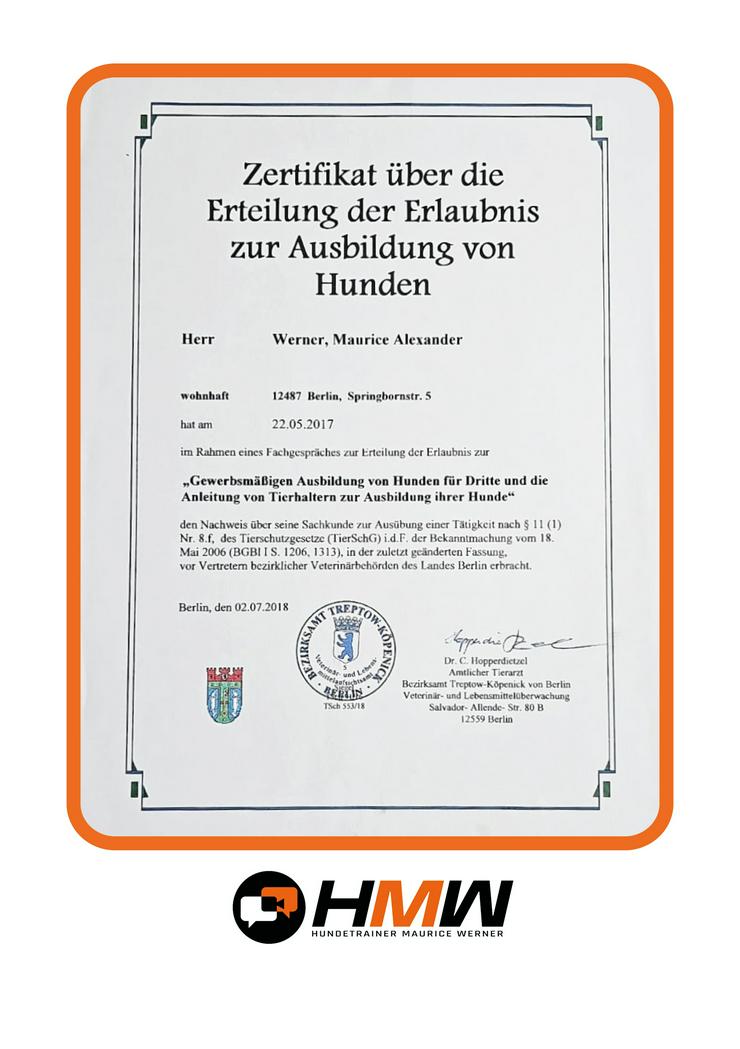 Bild 2: Professionelles Hundetraining – Persönlich oder auch via Videoanalyse