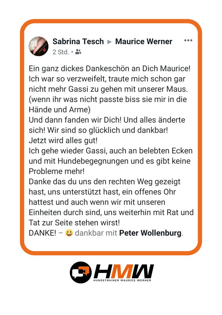 Bild 12: Professionelles Hundetraining – Persönlich oder auch via Videoanalyse