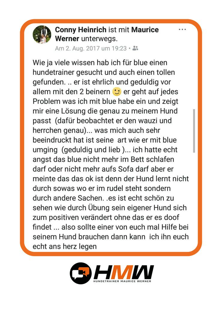 Bild 9: Professionelles Hundetraining – Persönlich oder auch via Videoanalyse