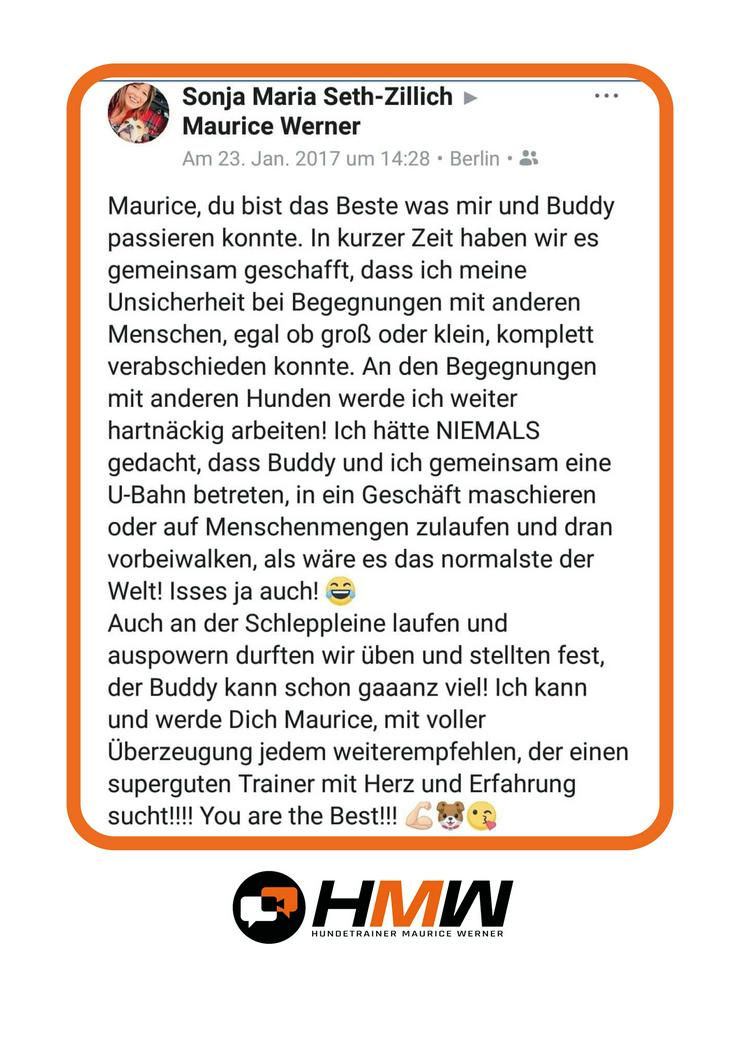 Bild 11: Professionelles Hundetraining – Persönlich oder auch via Videoanalyse