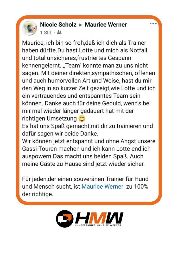 Bild 3: Professionelles Hundetraining – Persönlich oder auch via Videoanalyse