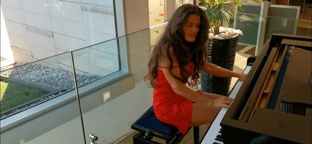 Live-Musiker mit Erfahrung für Firmenfeier Hochzeit & mehr