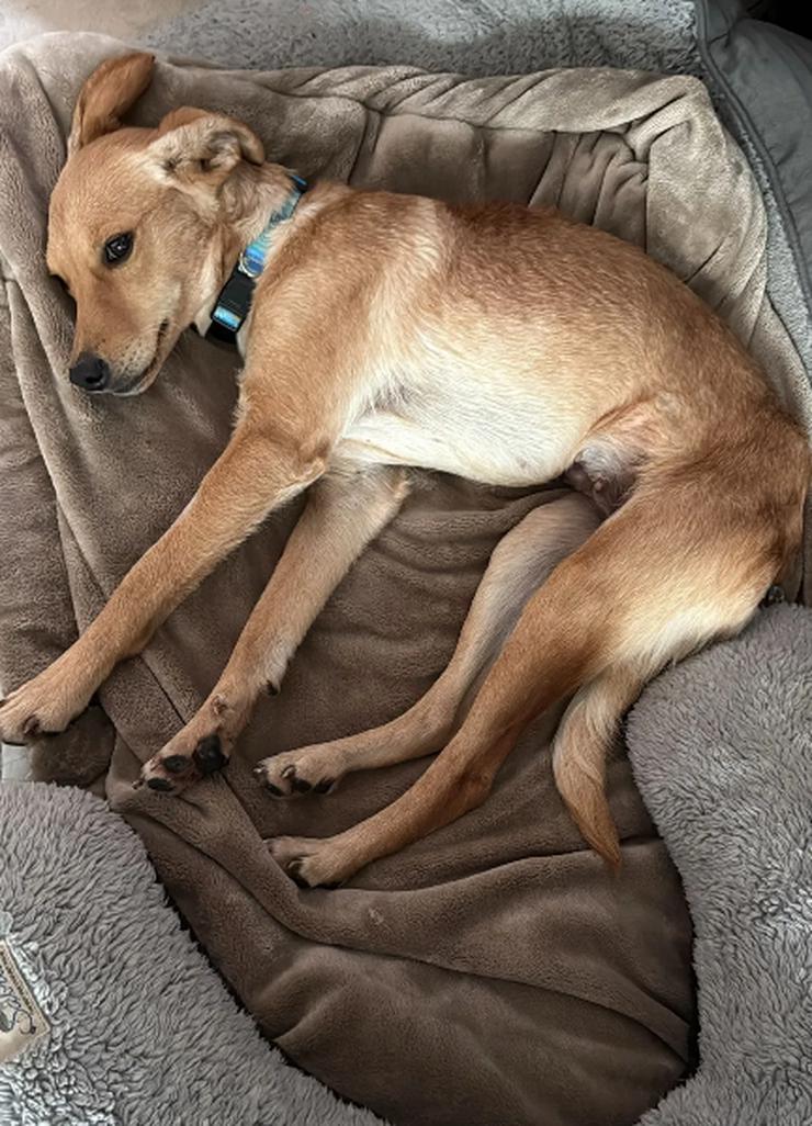 Bild 5: Angel zart und sensibel macht sie ihrem Namen alle Ehre! 