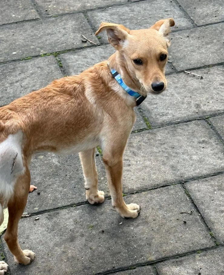 Bild 3: Angel zart und sensibel macht sie ihrem Namen alle Ehre! 