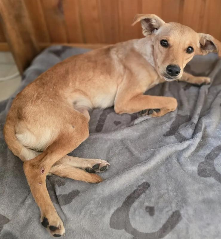 Bild 6: Angel zart und sensibel macht sie ihrem Namen alle Ehre! 