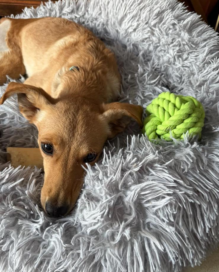 Angel zart und sensibel macht sie ihrem Namen alle Ehre! 