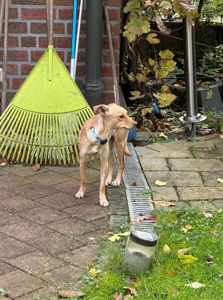 Bild 4: Angel zart und sensibel macht sie ihrem Namen alle Ehre! 