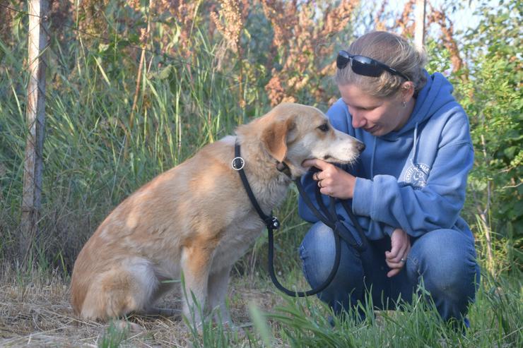 Bild 13: Bonbonetti ist eine süße freundliche Dame mit einer tollen Fellzeichnung.