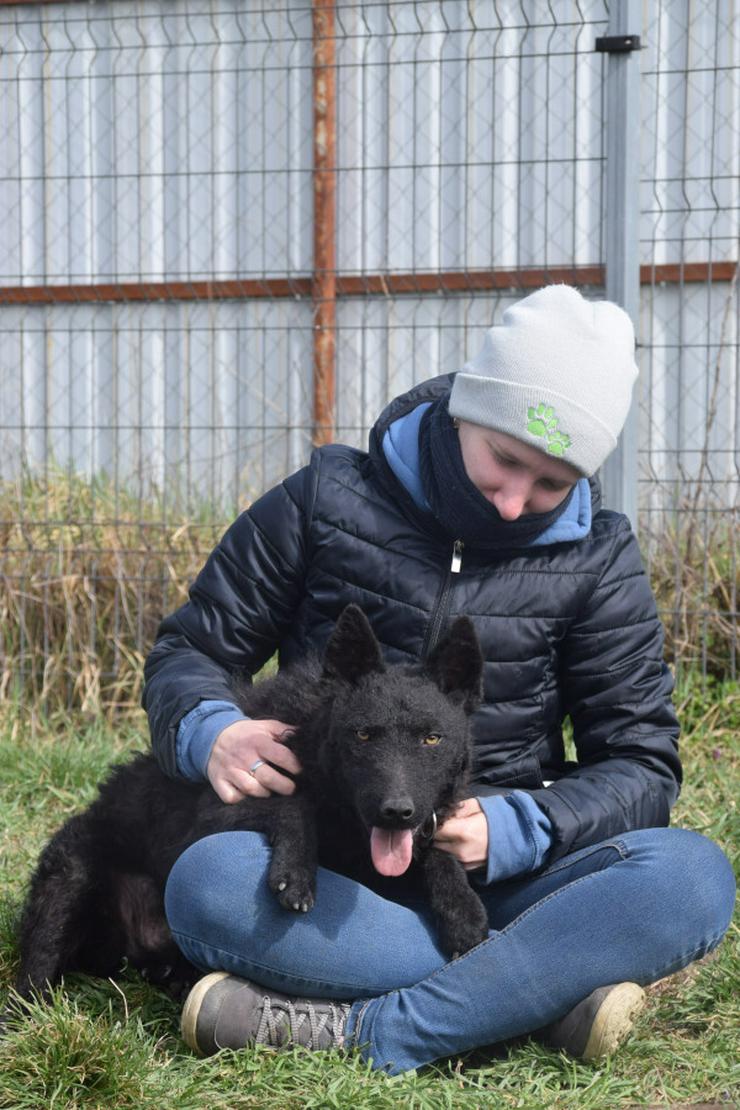 Bild 8: Oliver ist ein zuckersüßer, netter und hübscher Lausejunge.