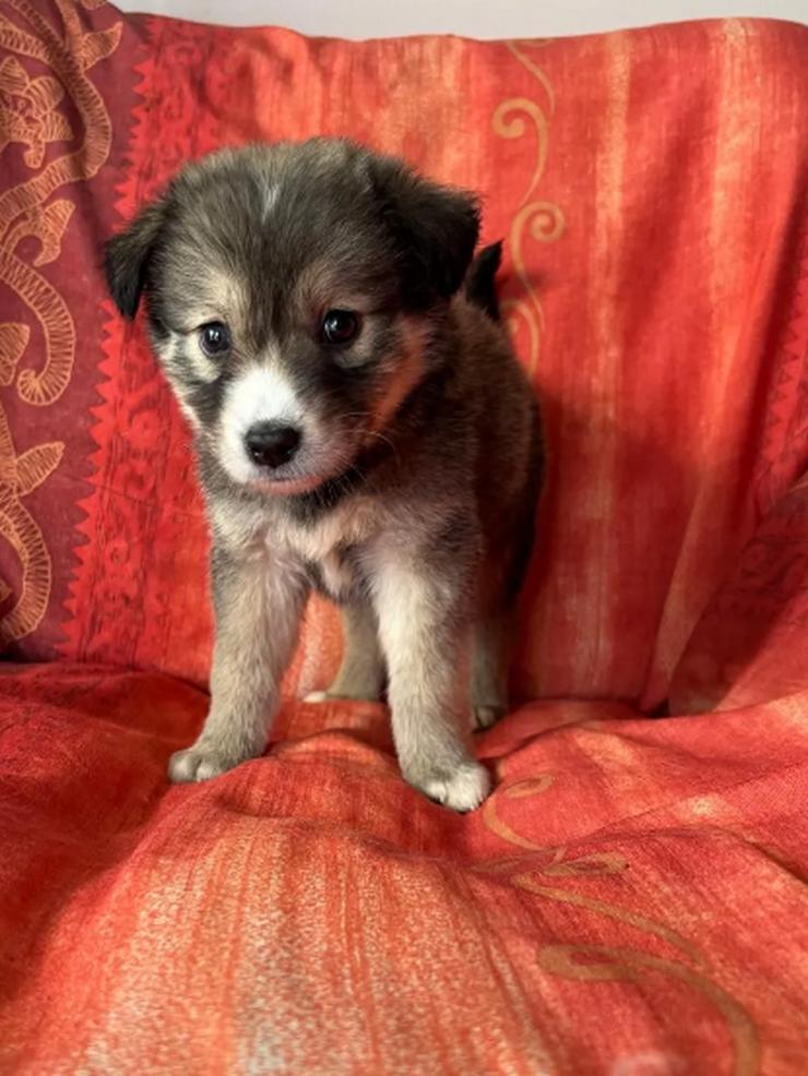 Bild 2: Skyla – mutige Abenteurerin