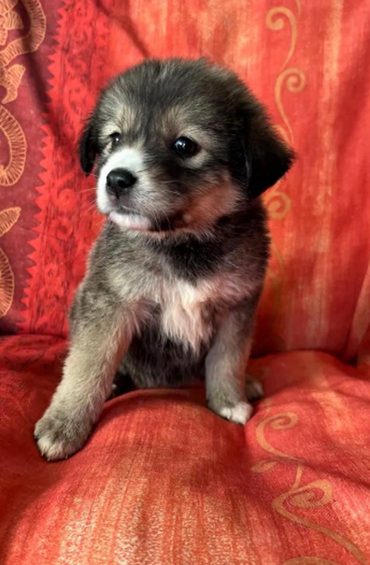 Skyla – mutige Abenteurerin