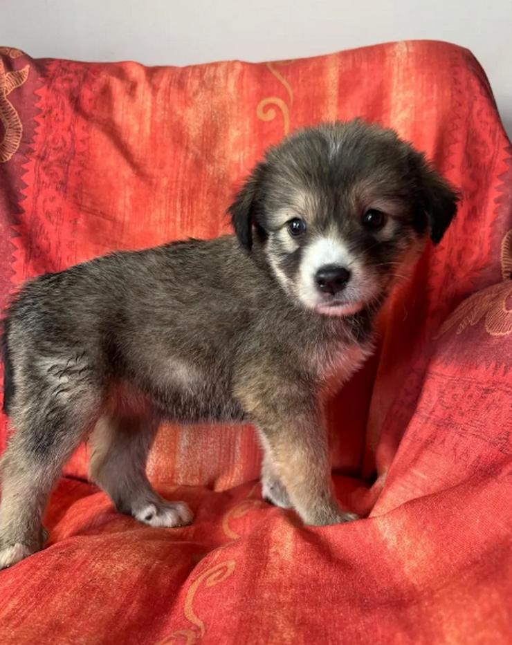 Bild 5: Skyla – mutige Abenteurerin