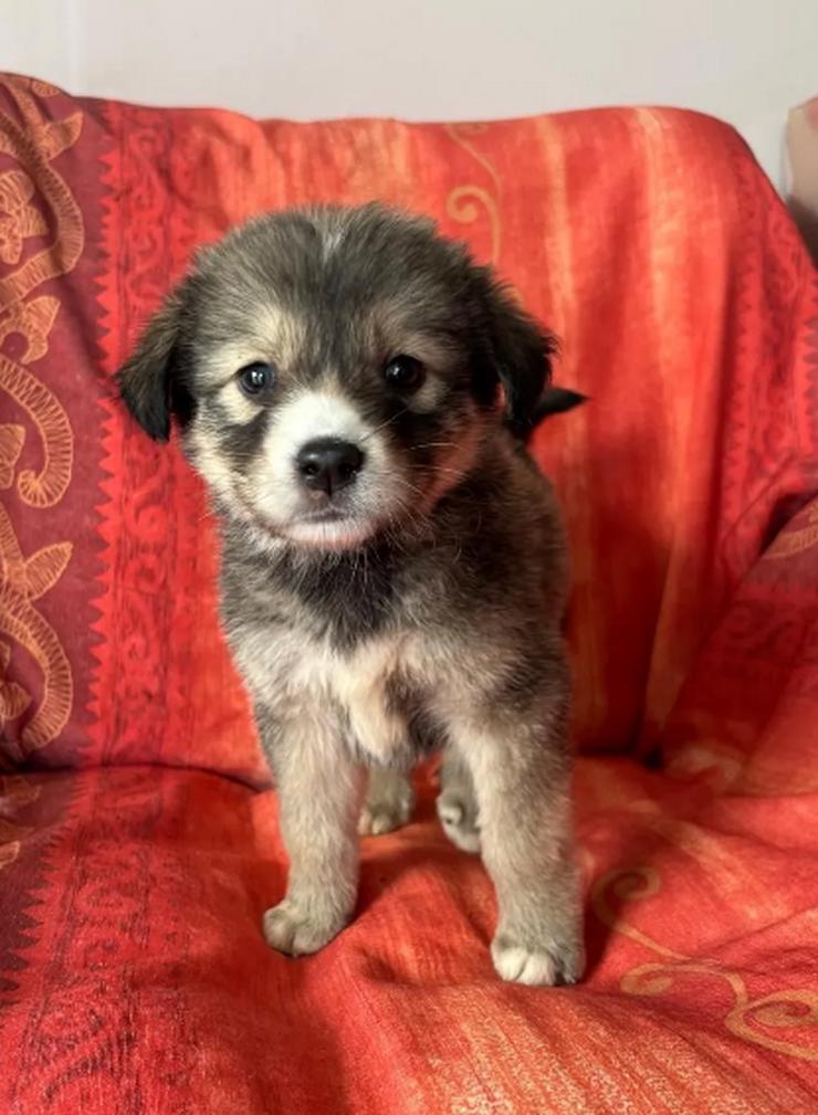 Bild 3: Skyla – mutige Abenteurerin