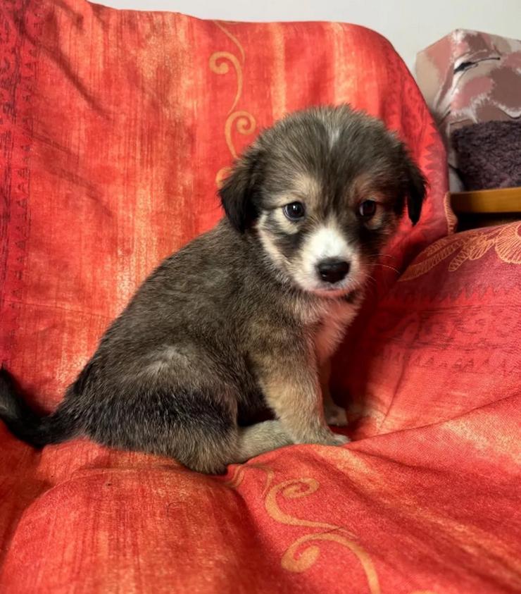 Bild 4: Skyla – mutige Abenteurerin