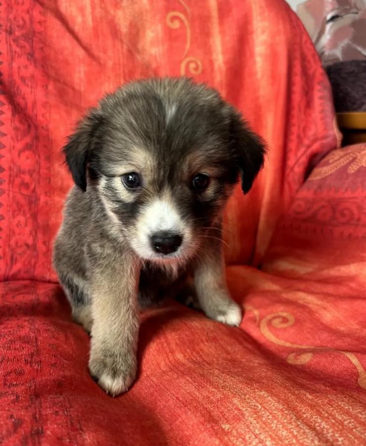 Bild 6: Skyla – mutige Abenteurerin