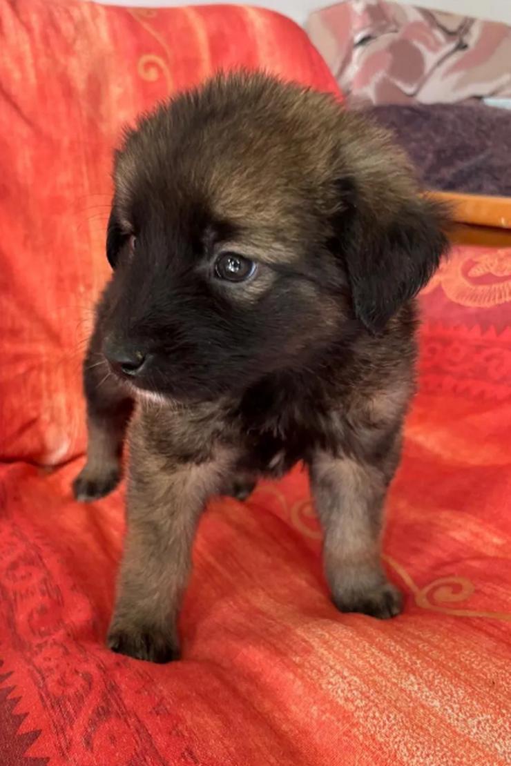 Robby – Der lebensfrohe Sonnenschein