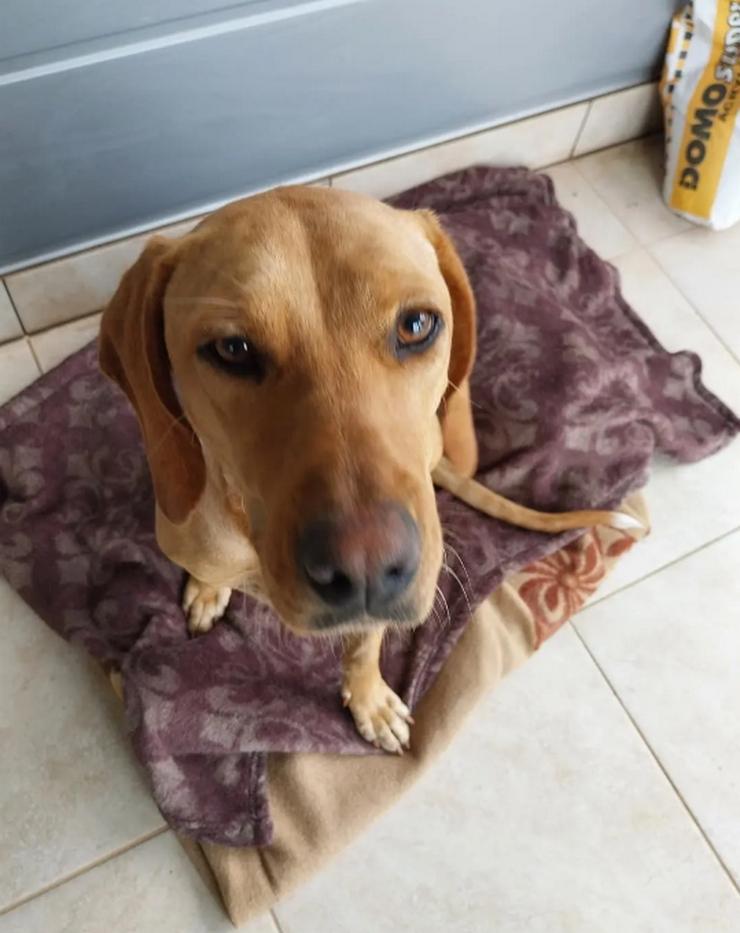 Bild 6: Dalia sucht ihr Herzenszuhause