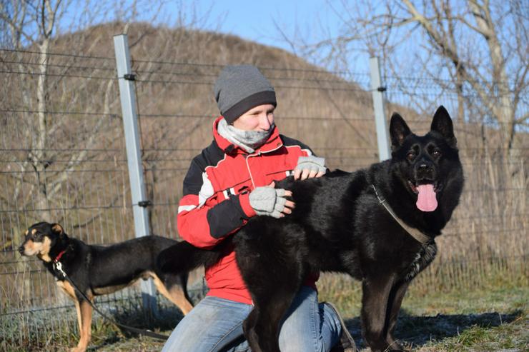 Bild 7: Athene ist freundlich und verschmust, sie liebt die Gesellschaft von Menschen und genießt jede Form von Aufmerksamkeit.