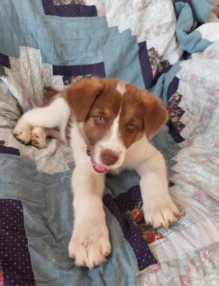 Cleo ist bereit, die Welt zu erobern