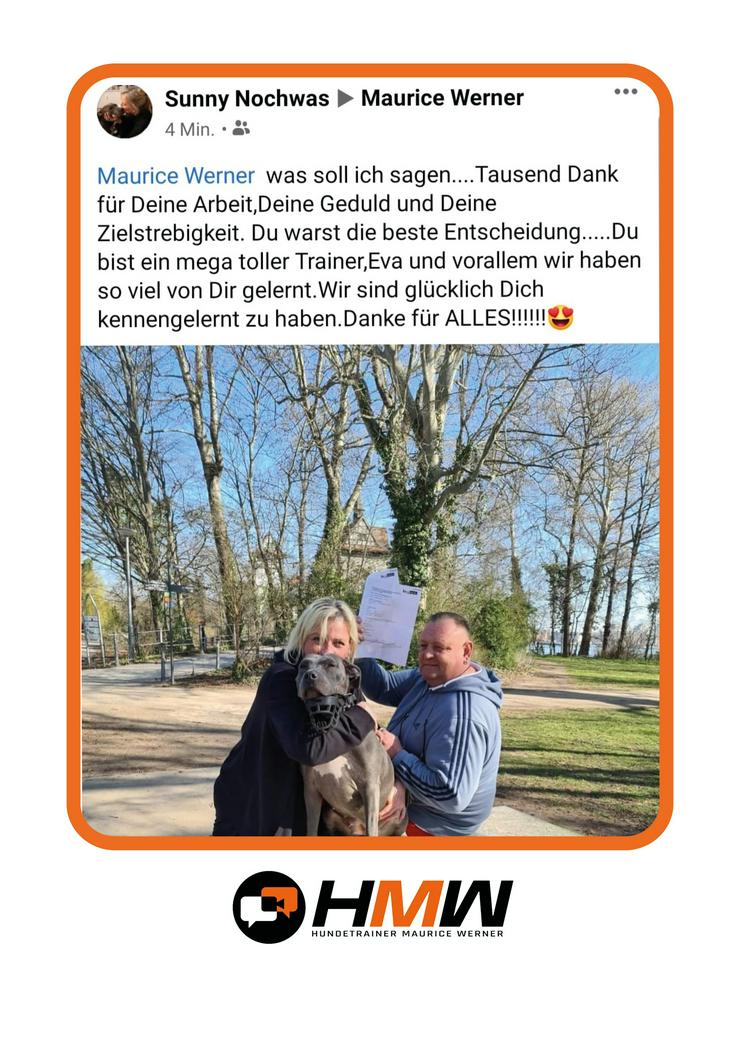 Bild 5: Professionelles Hundetraining – Persönlich oder auch via Video