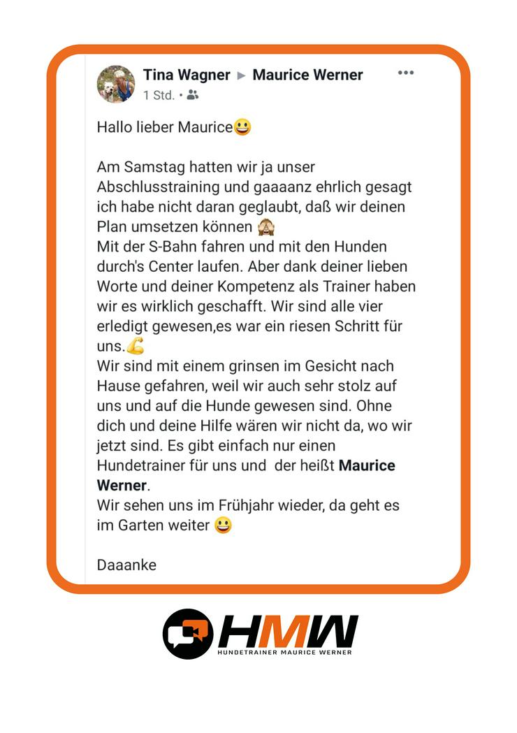 Bild 7: Professionelles Hundetraining – Persönlich oder auch via Video