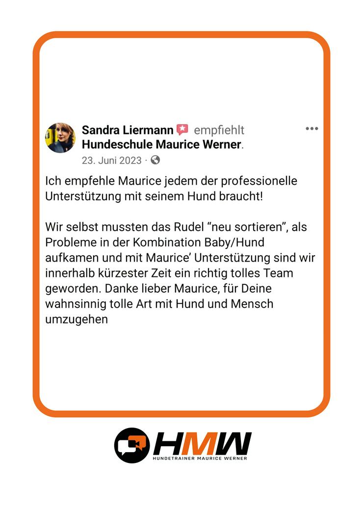 Bild 4: Professionelles Hundetraining – Persönlich oder auch via Video