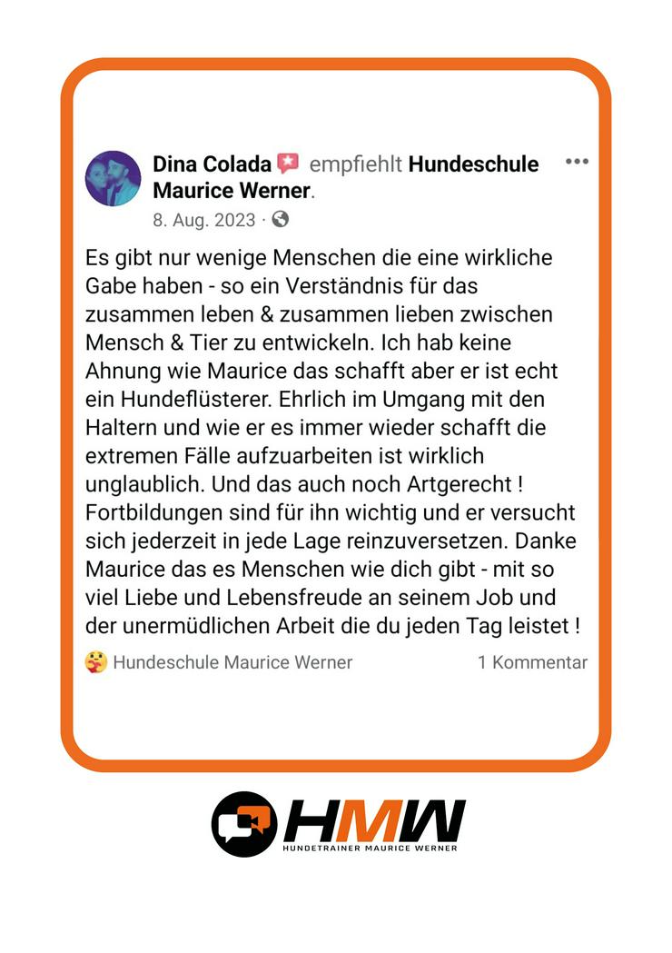 Bild 3: Professionelles Hundetraining – Persönlich oder auch via Video