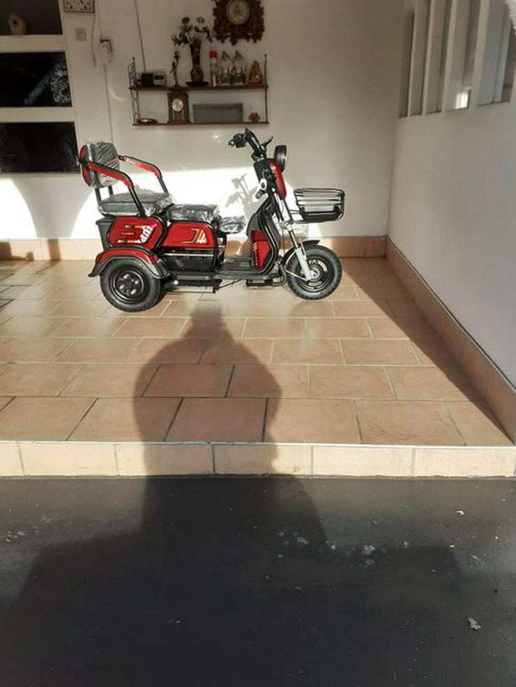 Bild 6: Moped & Motorroller