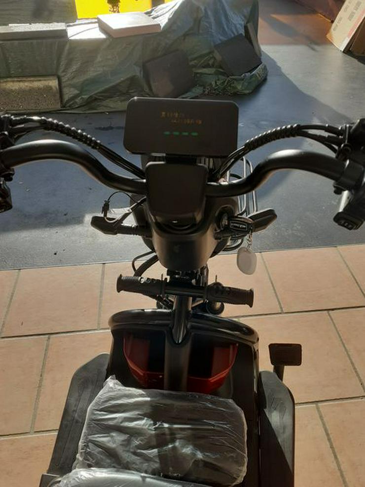 Bild 5: Moped & Motorroller