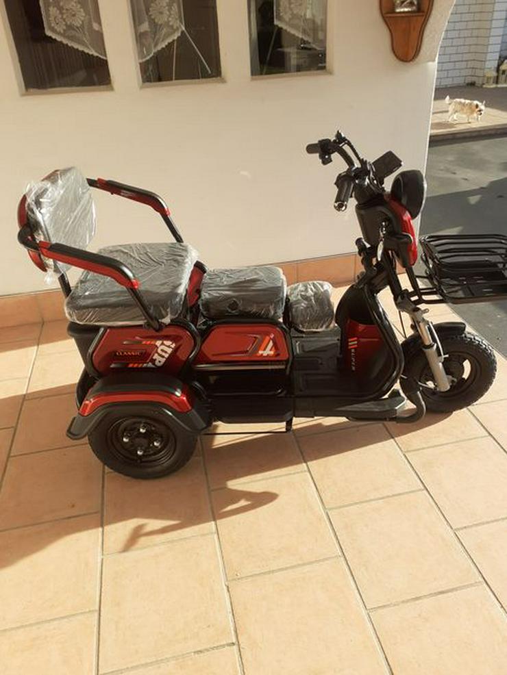 Bild 7: Moped & Motorroller