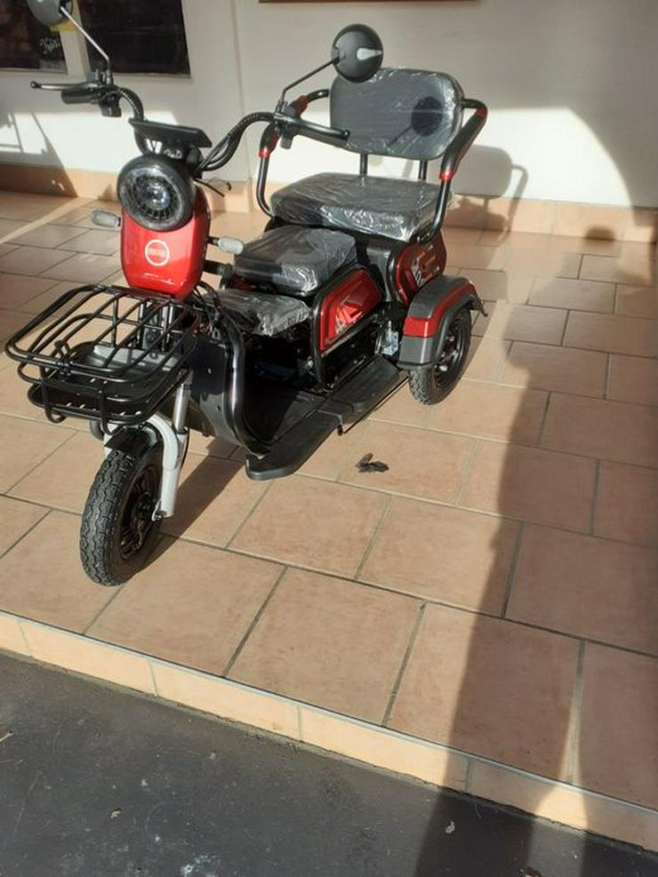 Bild 3: Moped & Motorroller