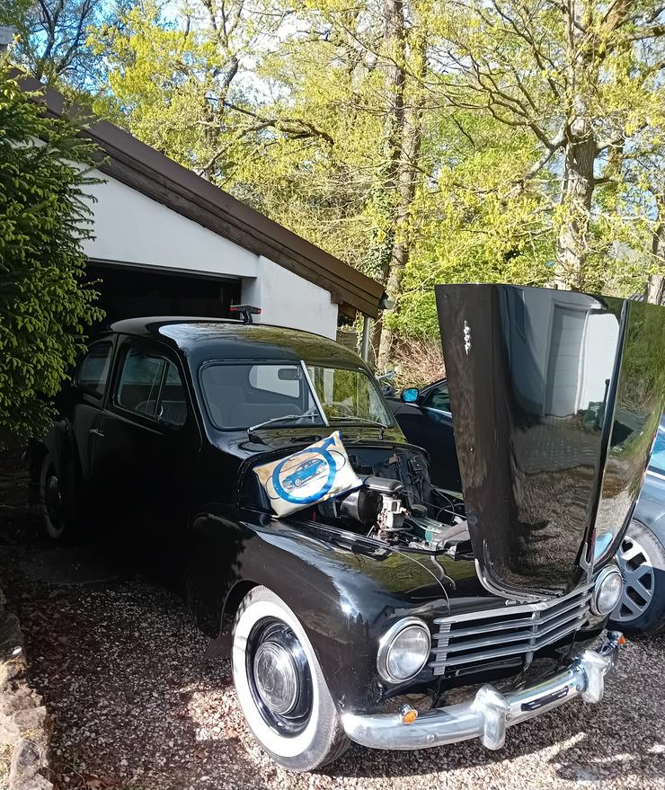 Bild 13: VOLVO  PV 444 B, Bj. 1950 ,  BREZELFENSTER u. DACHKUCKUCK original