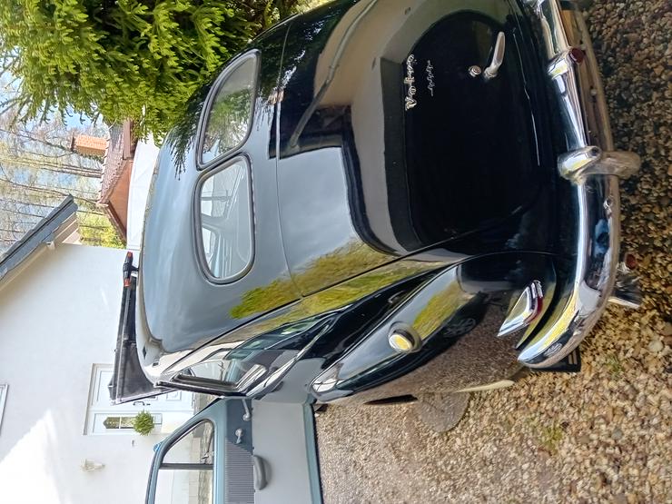 Bild 12: VOLVO  PV 444 B, Bj. 1950 ,  BREZELFENSTER u. DACHKUCKUCK original