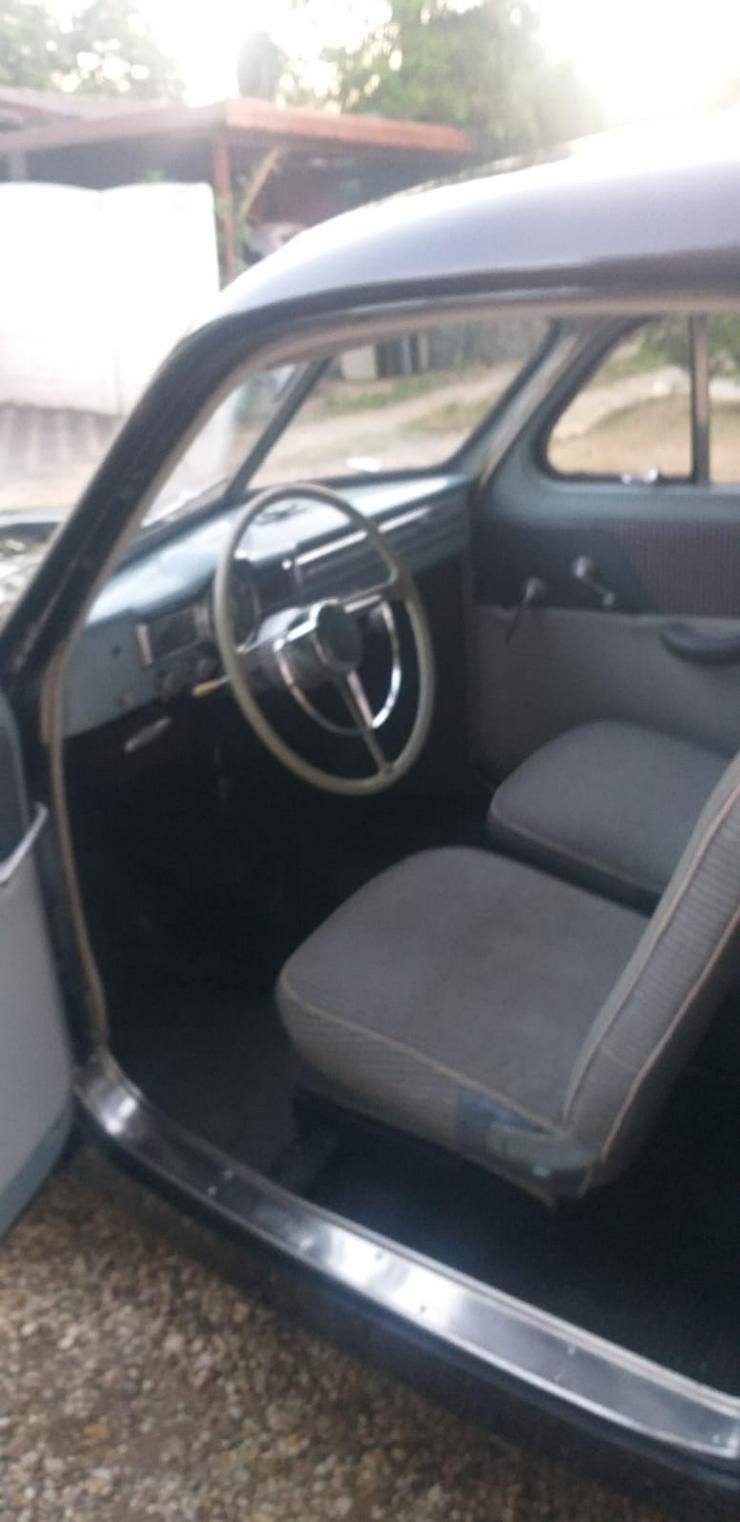 Bild 7: VOLVO  PV 444 B, Bj. 1950 ,  BREZELFENSTER u. DACHKUCKUCK original