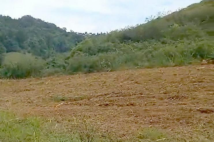 Bild 5: Ferien-Anlage auf der Insel Martinique - Ihre Kapitalanlage