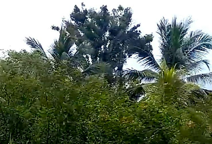 Bild 6: Ferien-Anlage auf der Insel Martinique - Ihre Kapitalanlage