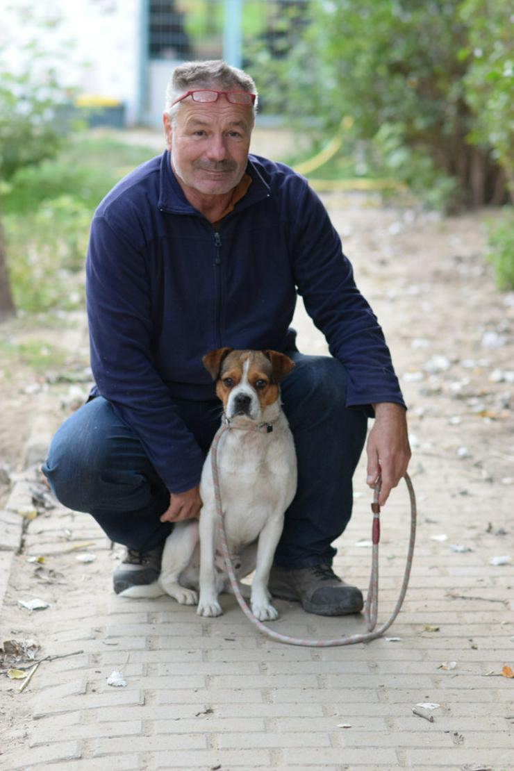 Bild 6:  Bosley liebt die Gesellschaft von Menschen und ist immer bereit für ein neues Abenteuer.