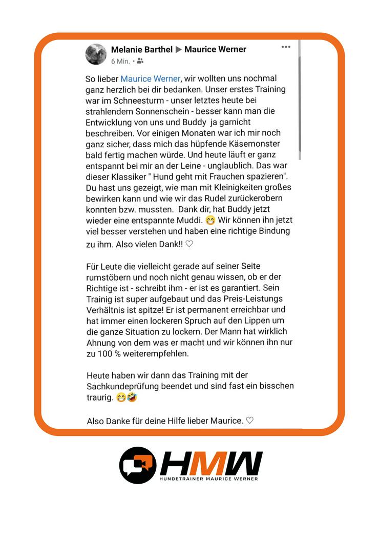 Bild 9: Professionelles Hundetraining – Persönlich oder auch via Video