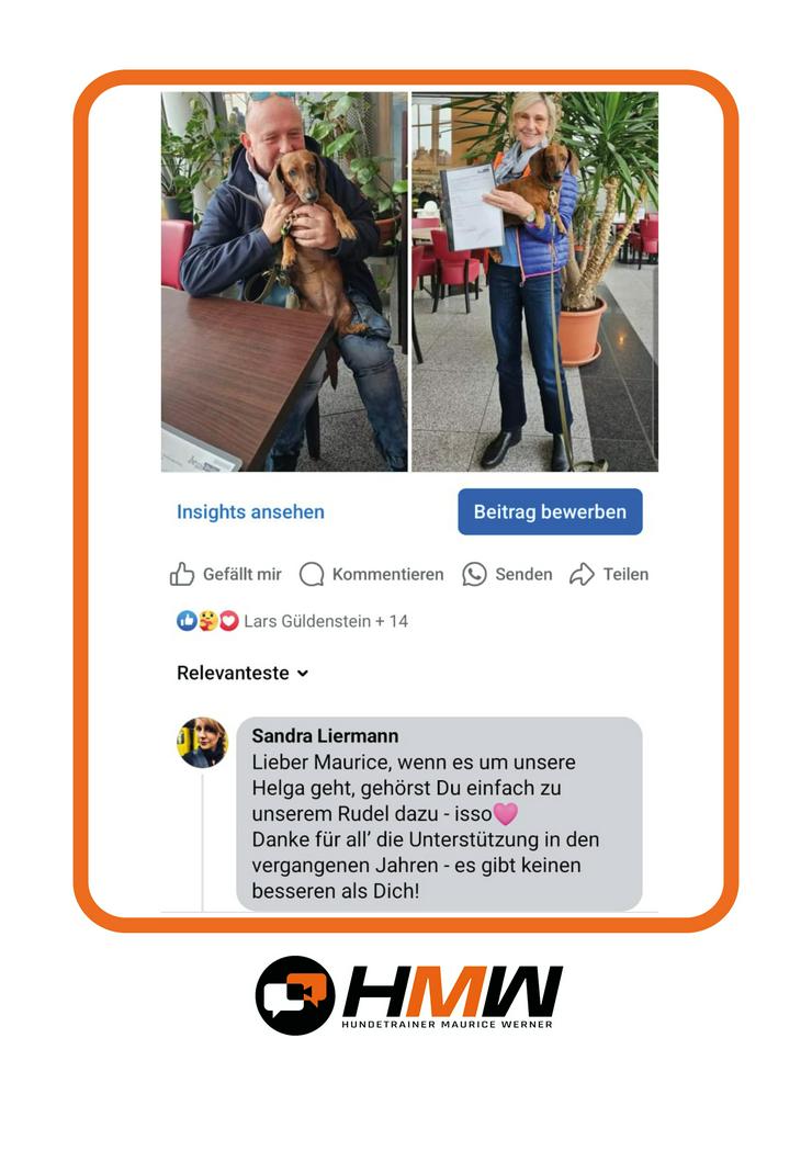 Bild 4: Professionelles Hundetraining – Persönlich oder auch via Video