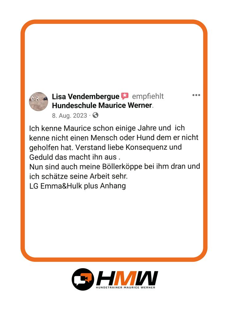 Bild 10: Professionelles Hundetraining – Persönlich oder auch via Video