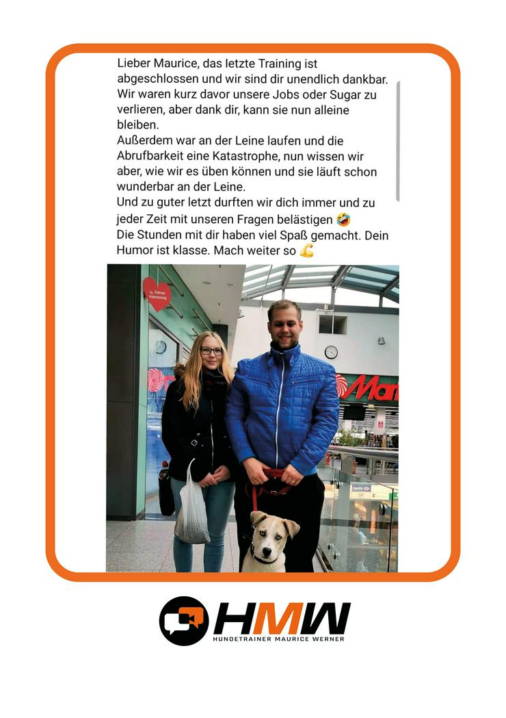 Bild 8: Professionelles Hundetraining – Persönlich oder auch via Video