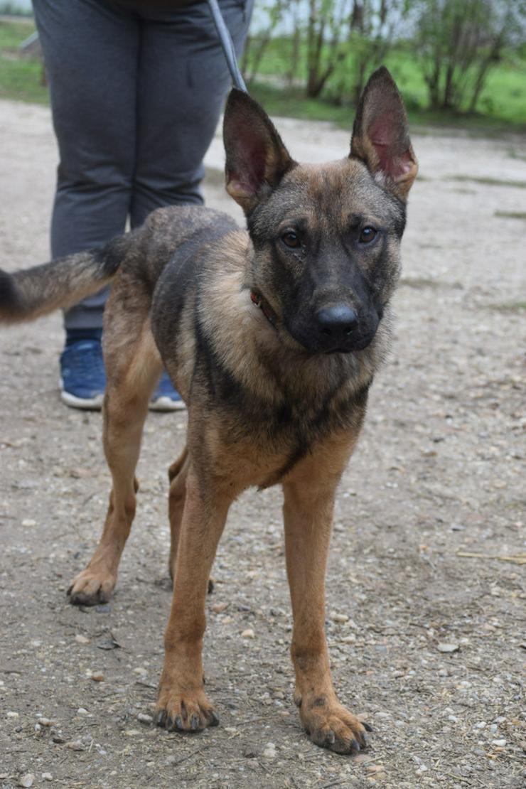 Bild 5: 	 Malte ist sehr aktiv und zeigt großes Interesse an neuen Erfahrungen.