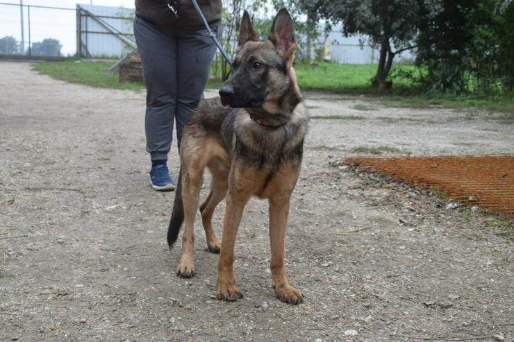 Bild 4: 	 Malte ist sehr aktiv und zeigt großes Interesse an neuen Erfahrungen.