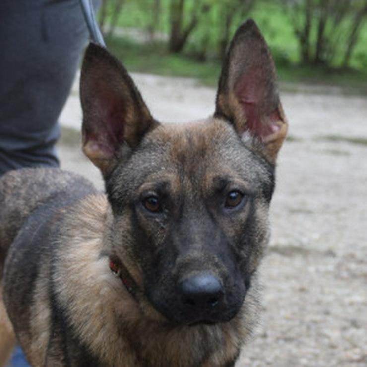 Bild 6: 	 Malte ist sehr aktiv und zeigt großes Interesse an neuen Erfahrungen.