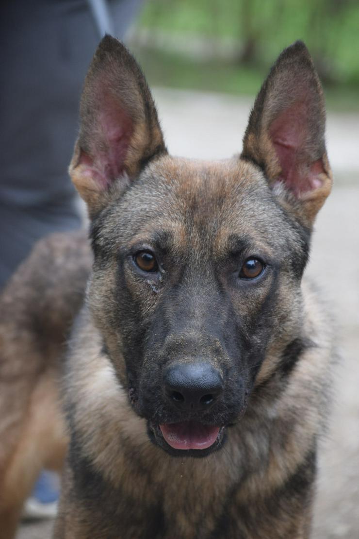 	 Malte ist sehr aktiv und zeigt großes Interesse an neuen Erfahrungen.